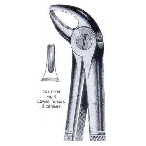 Extracting Forceps